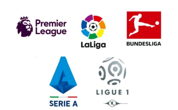 的执教生涯 的执教生涯